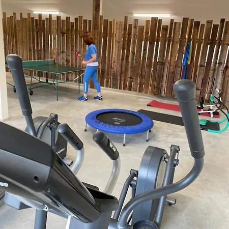 Im Chaletstil Kornspeicher 70 Qm Wellness Fitness Sauna Bergroedelhof 아파트 Feilitzsch